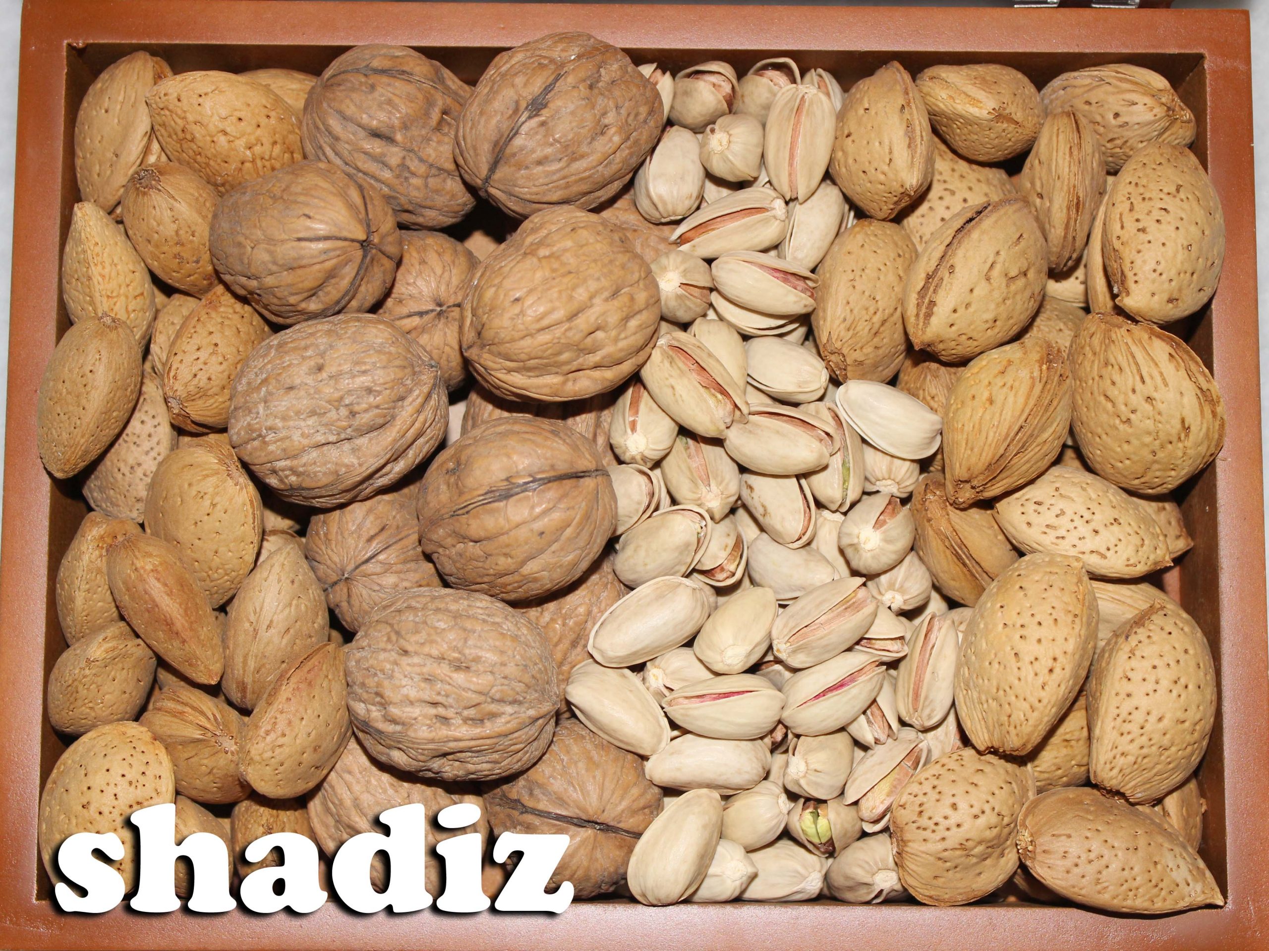تامین آجیل عمده