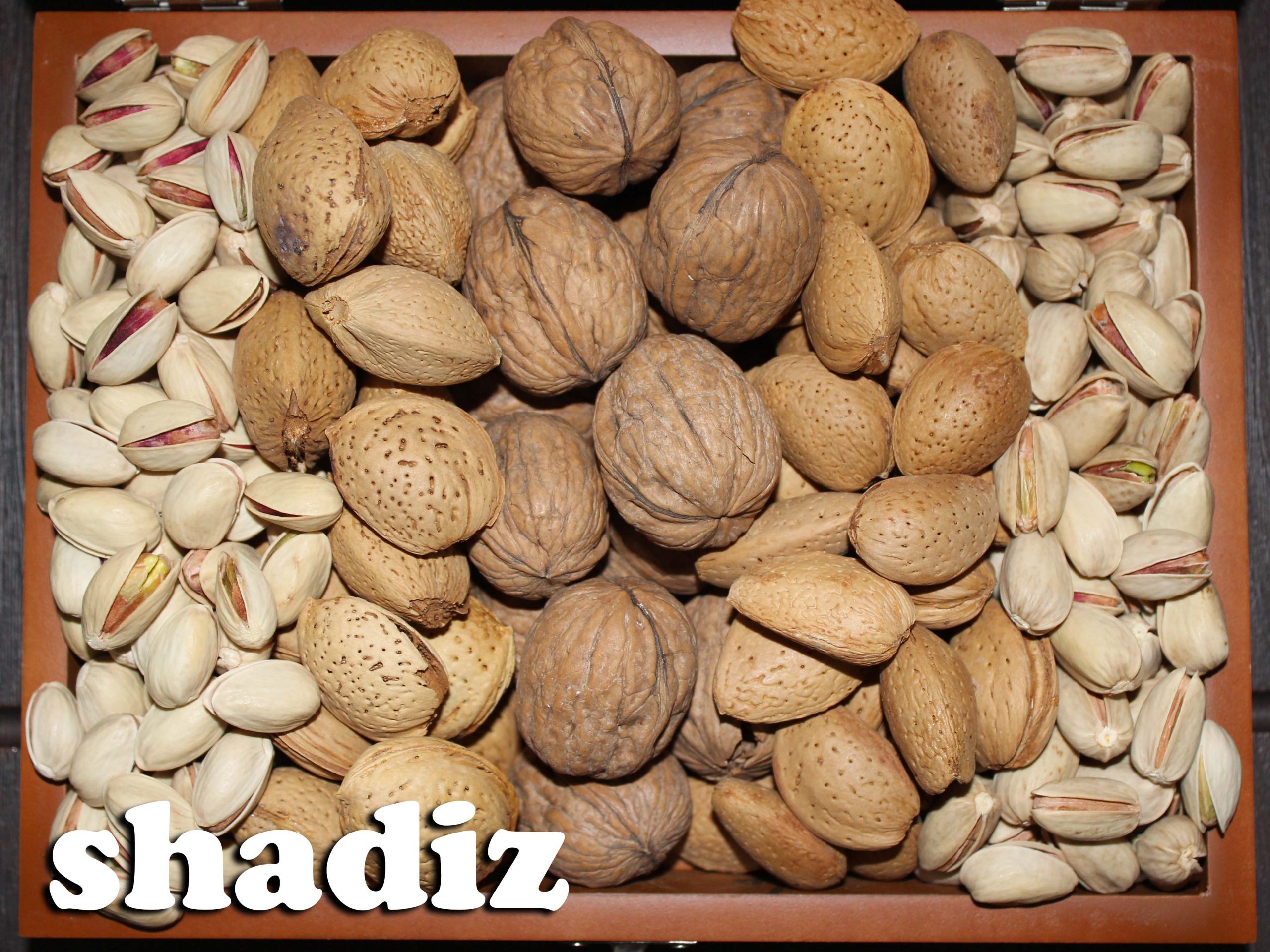 خشکبار