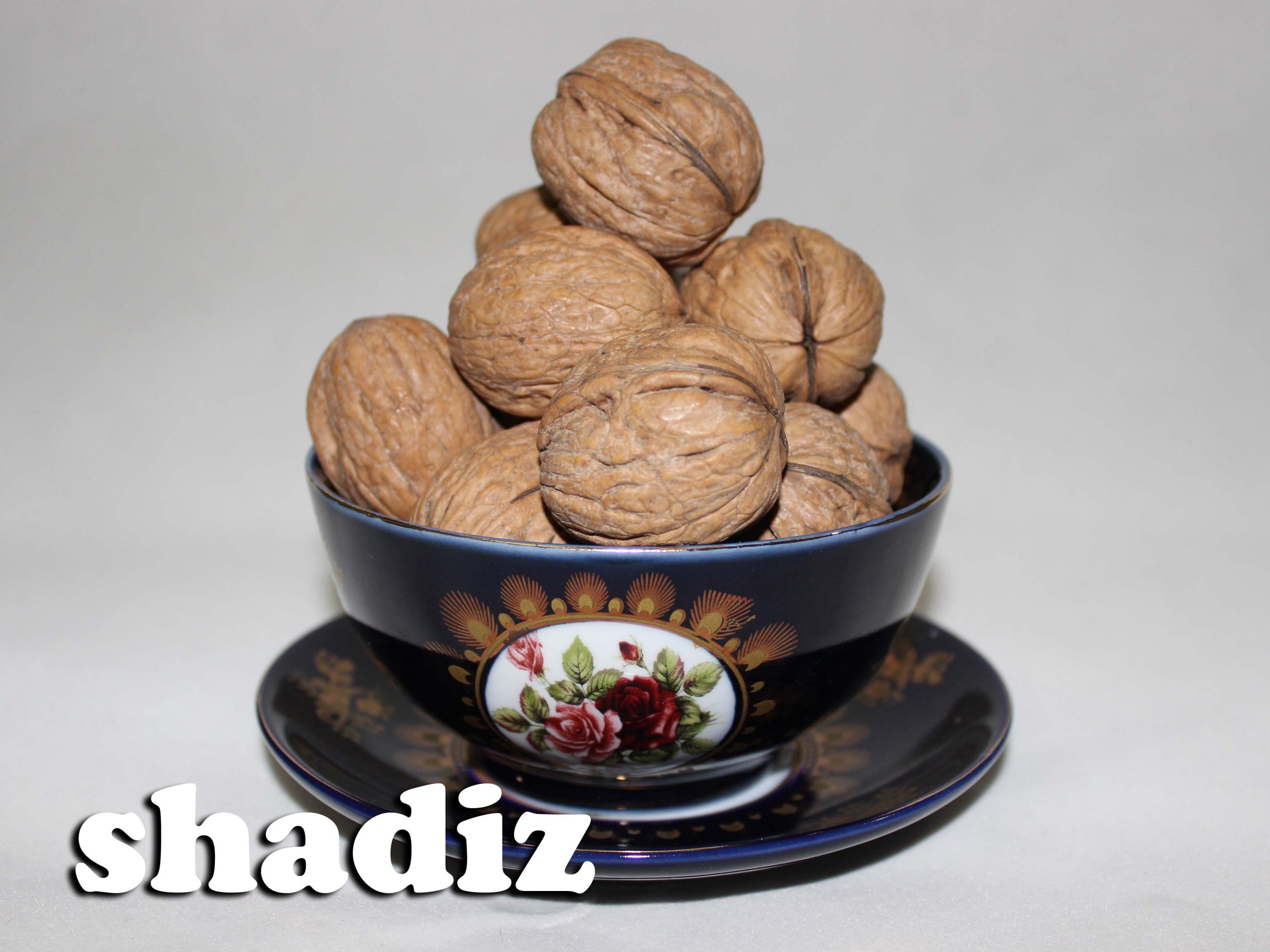 فروش و تامین