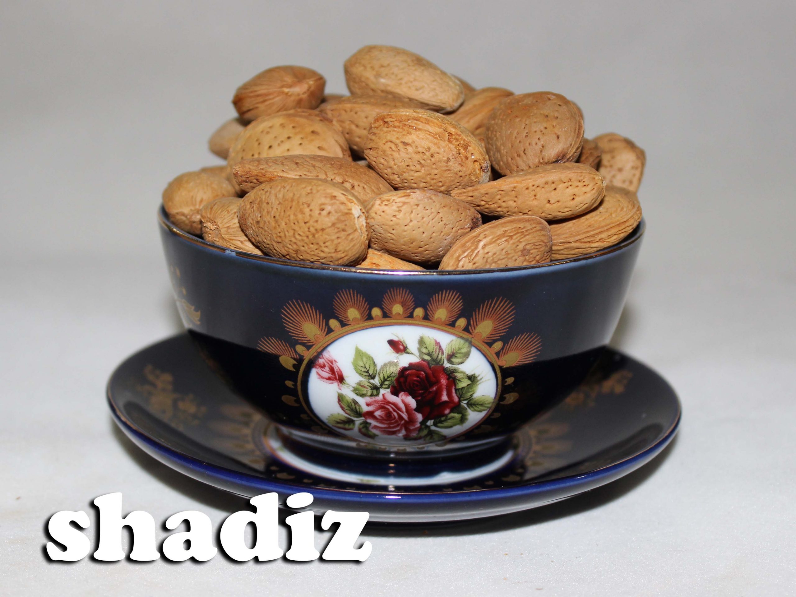 مرجع فروش انواع بادام