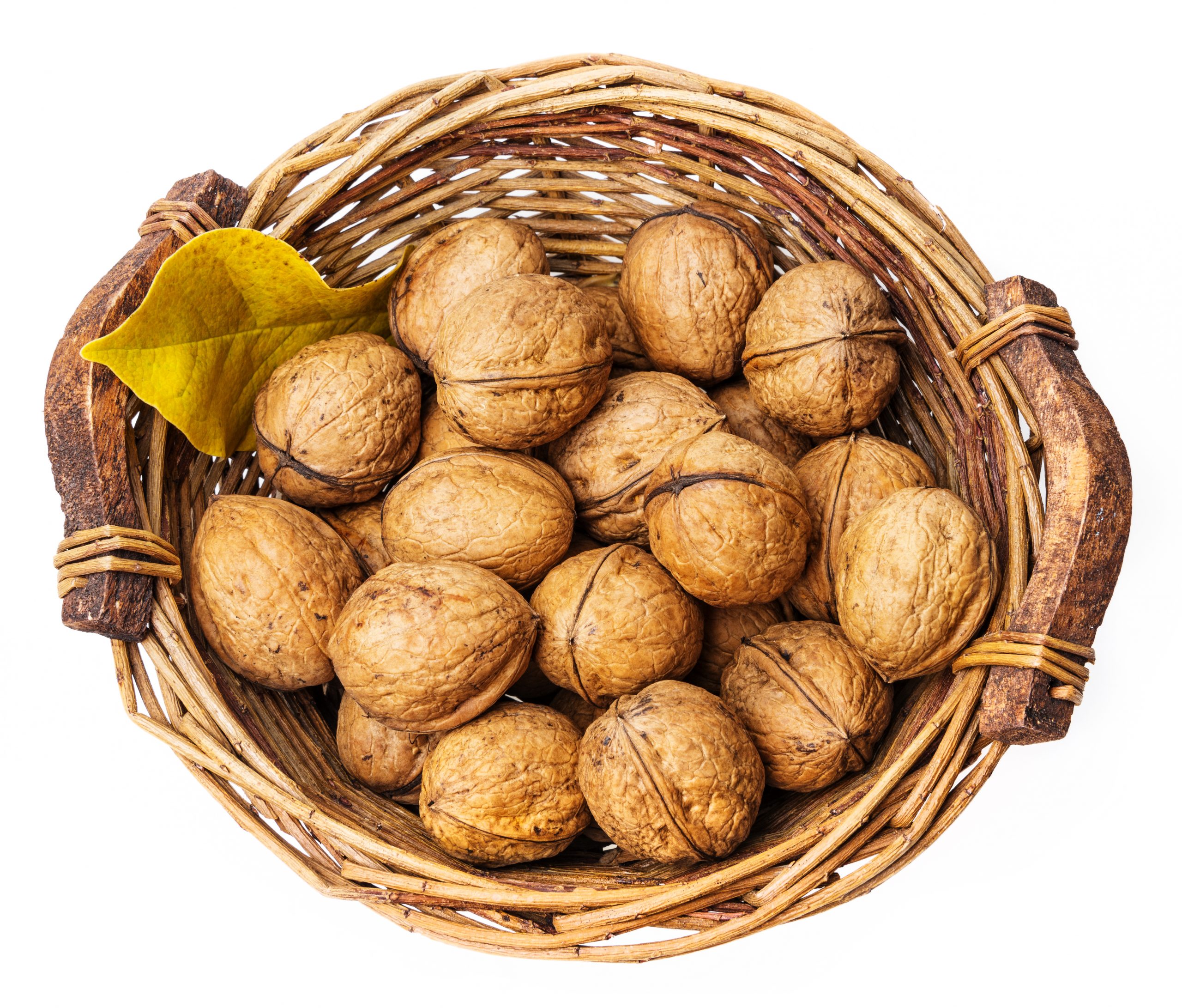 صادرات گردوی ایرانی