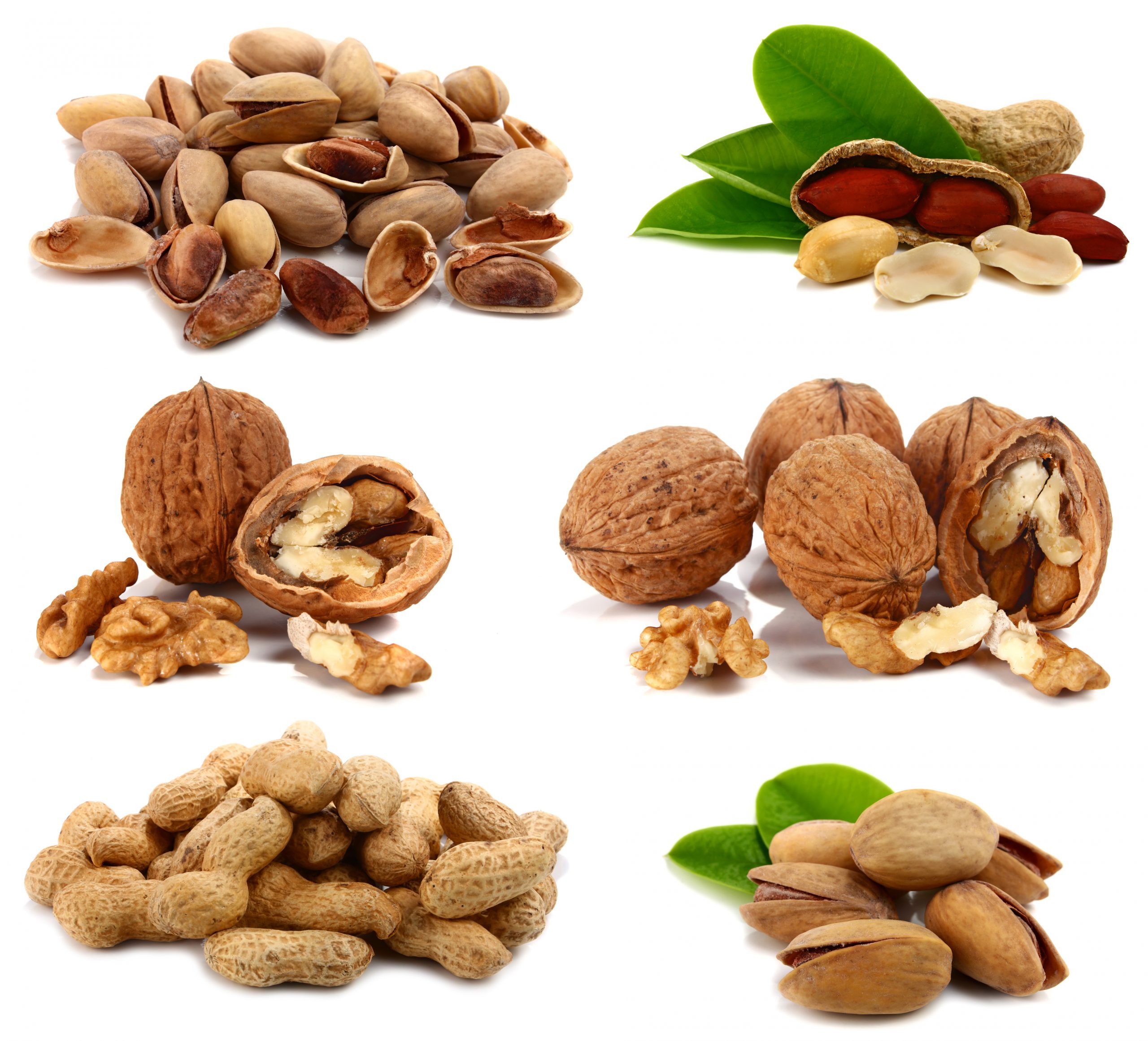 خرید خشکبار و آجیل تازه