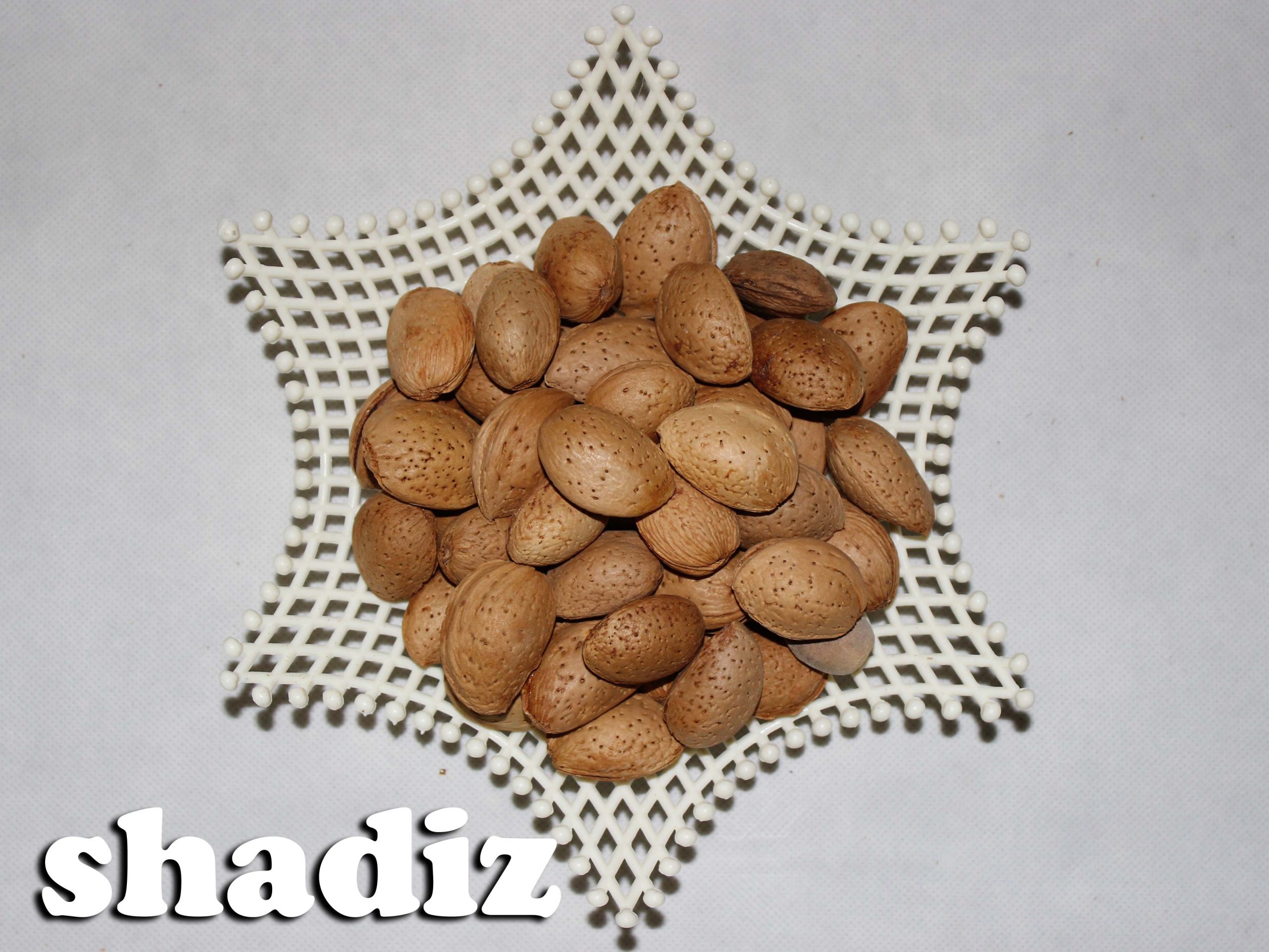 خواص بادام درختی