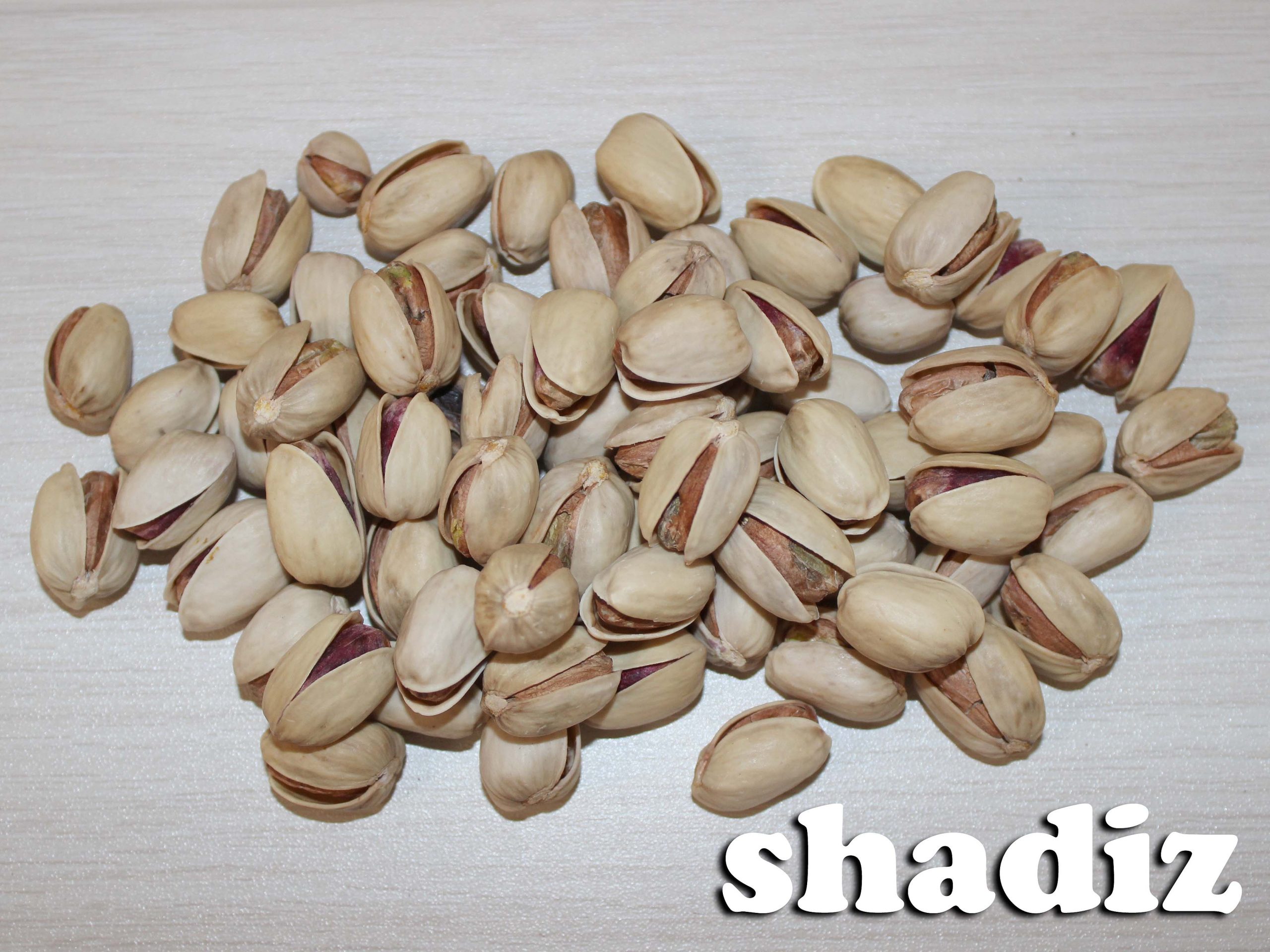 فروش پسته کله قوچی