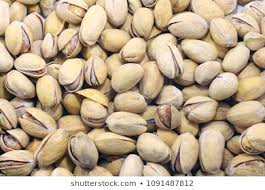 فروش عمده پسته کله قوچی