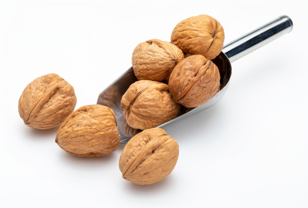 توزیع گردو پوست کاغذی
