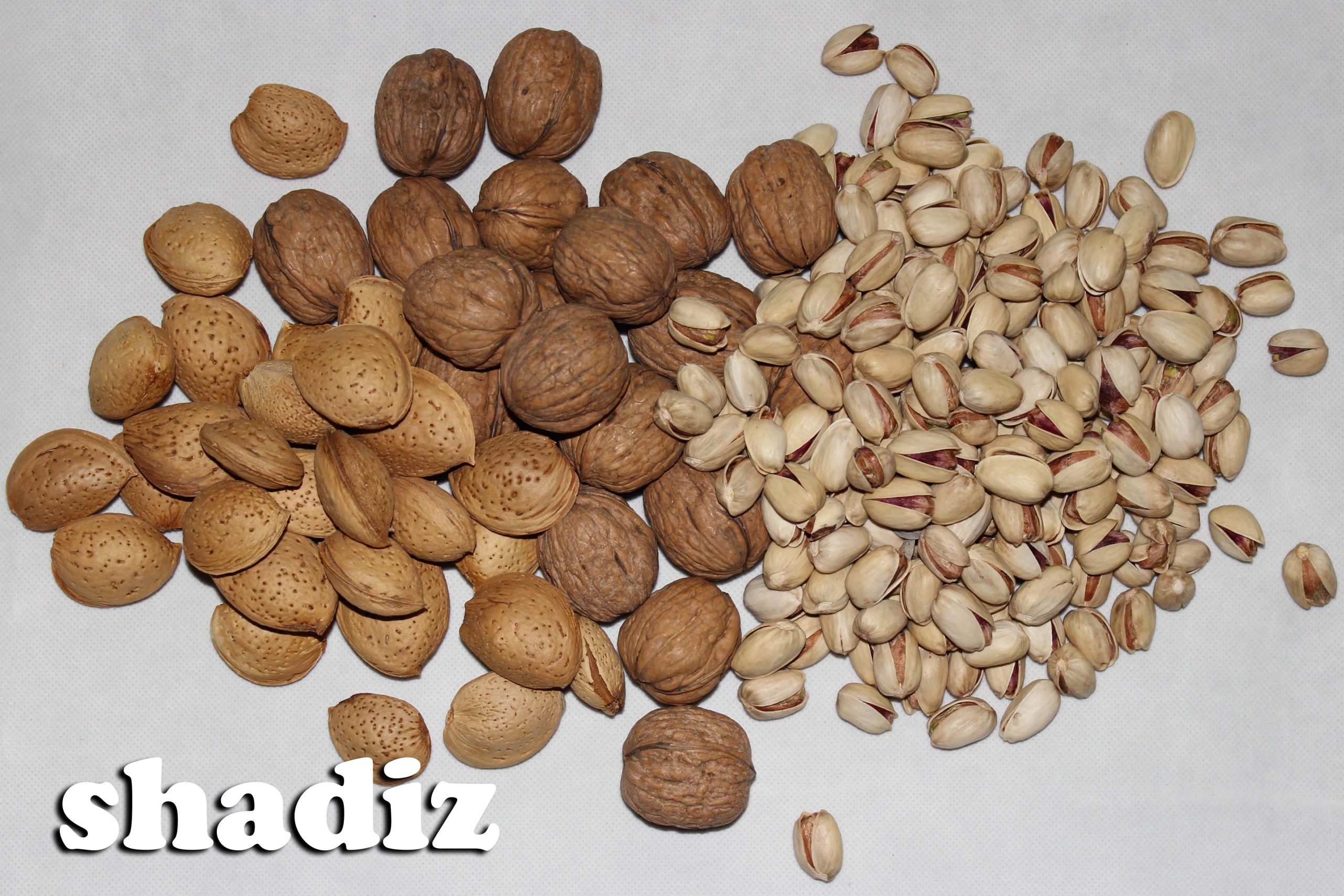 عمده فروش آجیل و خشکبار