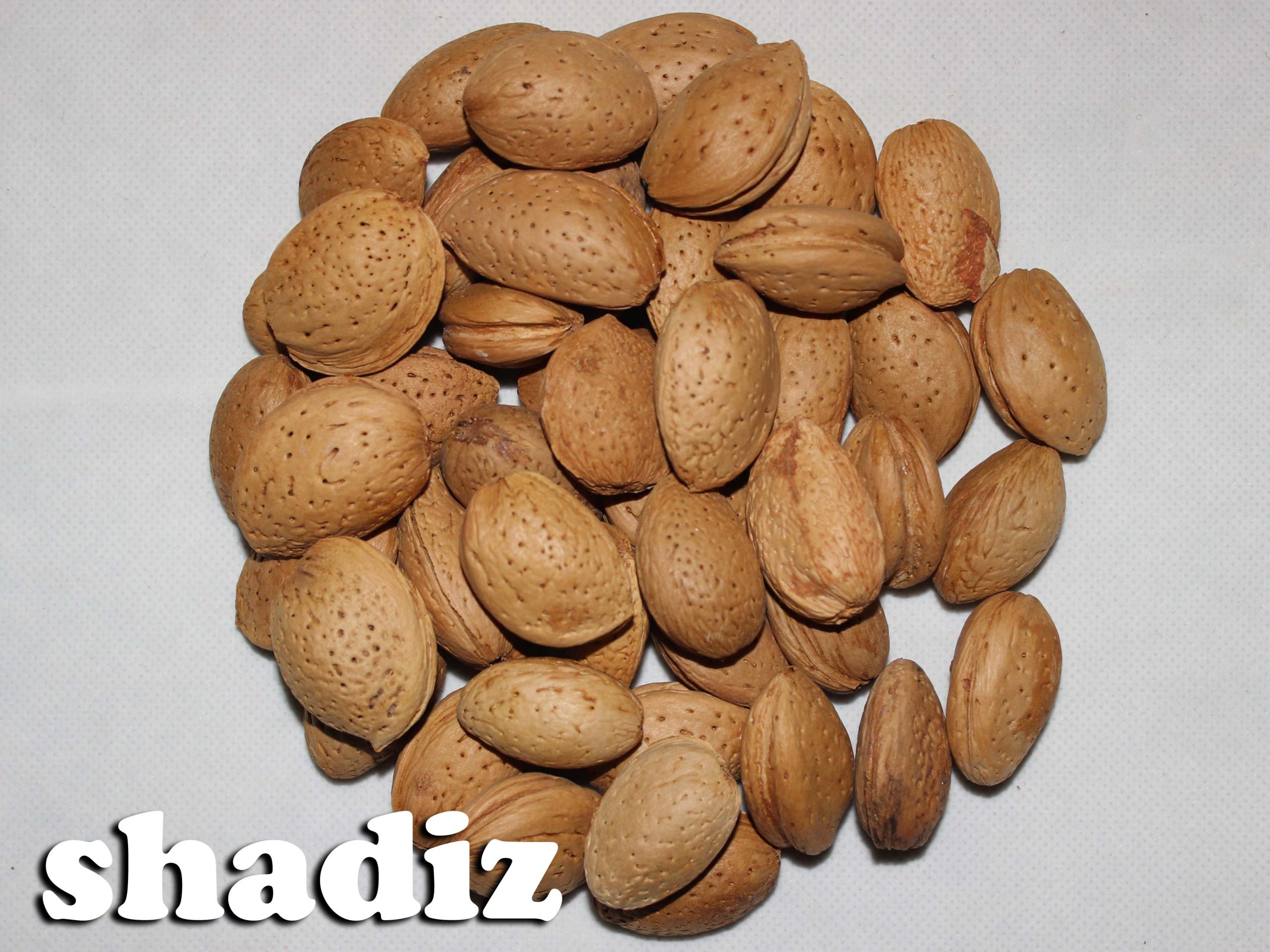 خرید بهترین بادام سنگی