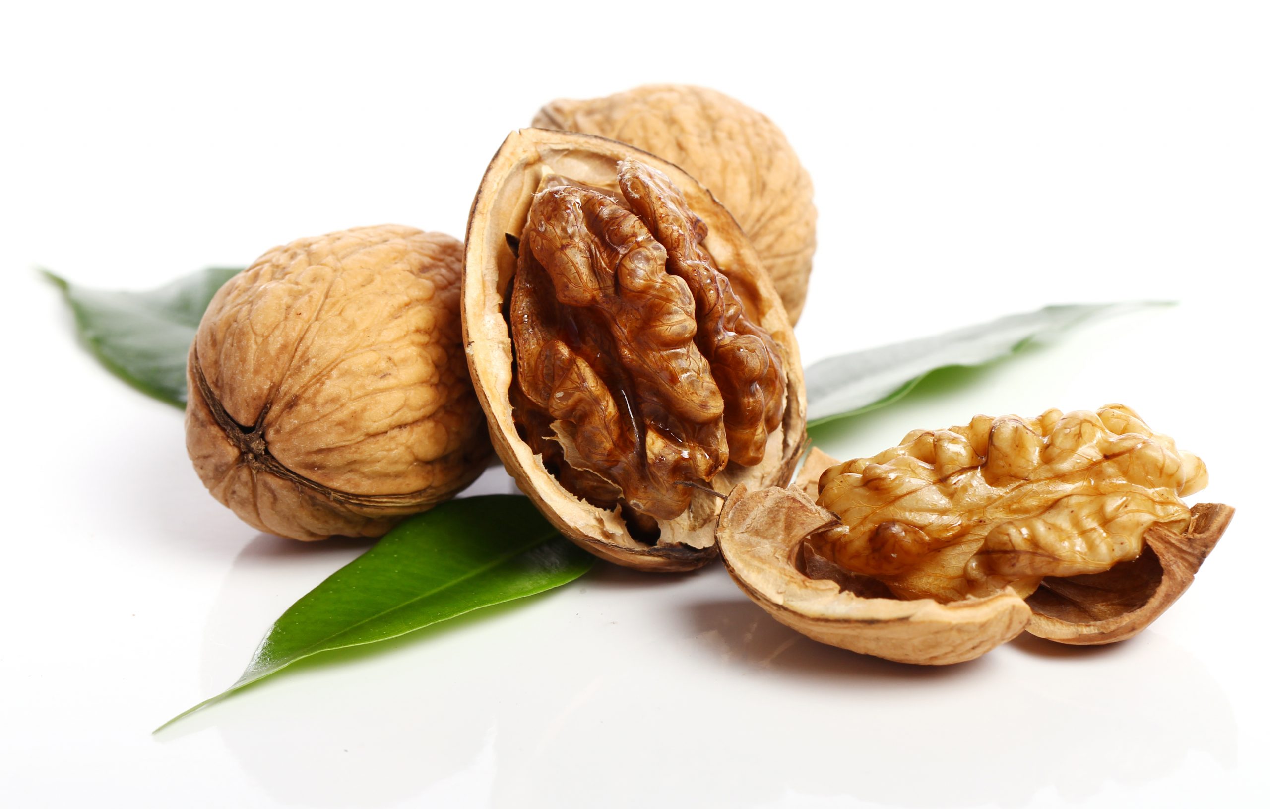 مرجع فروش گردو