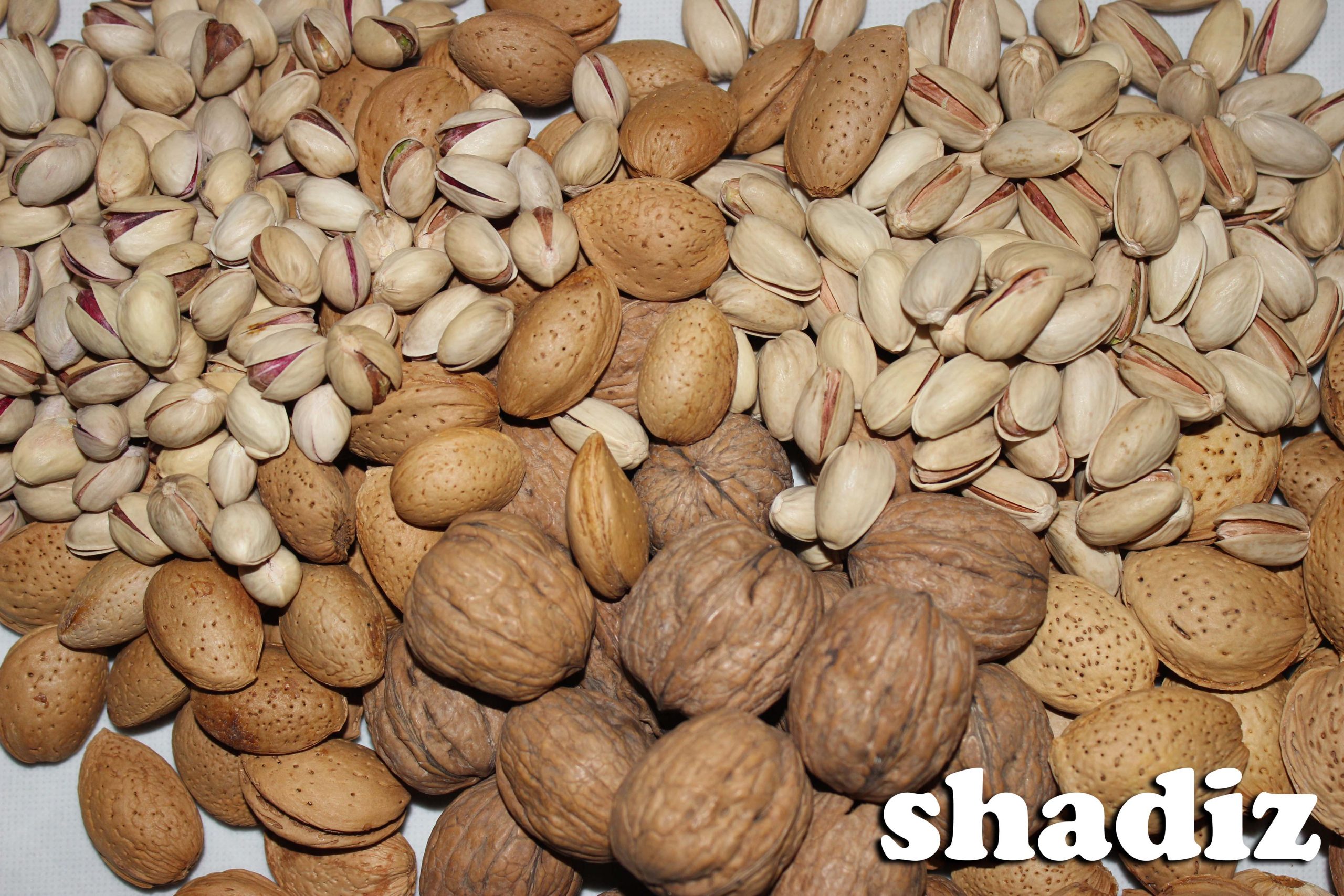 فروشگاه آجیل و خشکبار