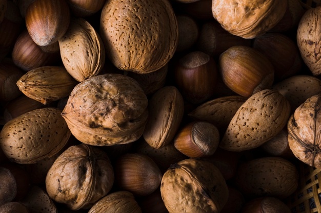 واردات انواع گردو و بادام