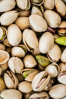 عمده فروشی پسته