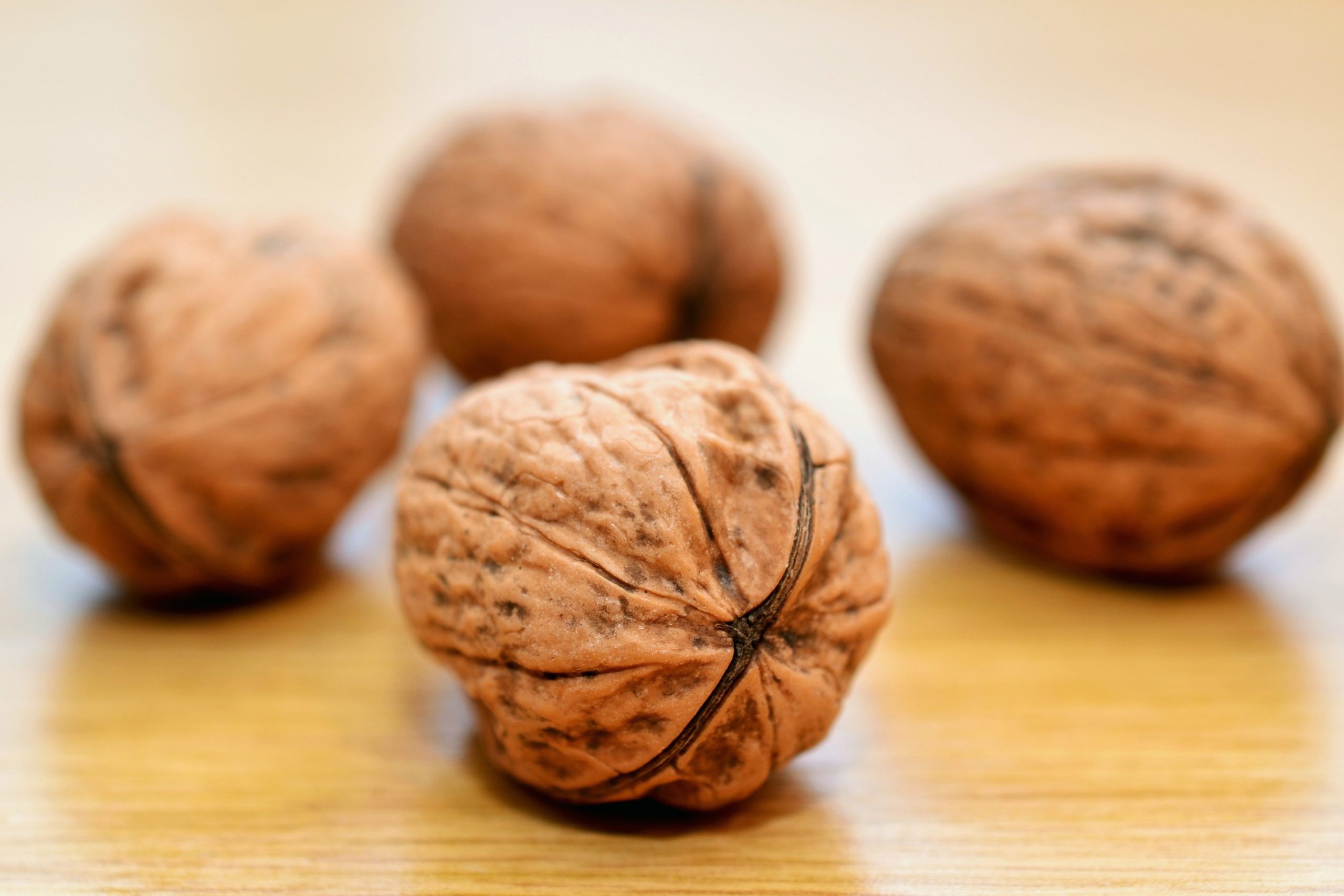 توزیع گردو ممتاز