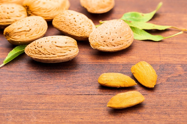 فروش عمده بادام درختی