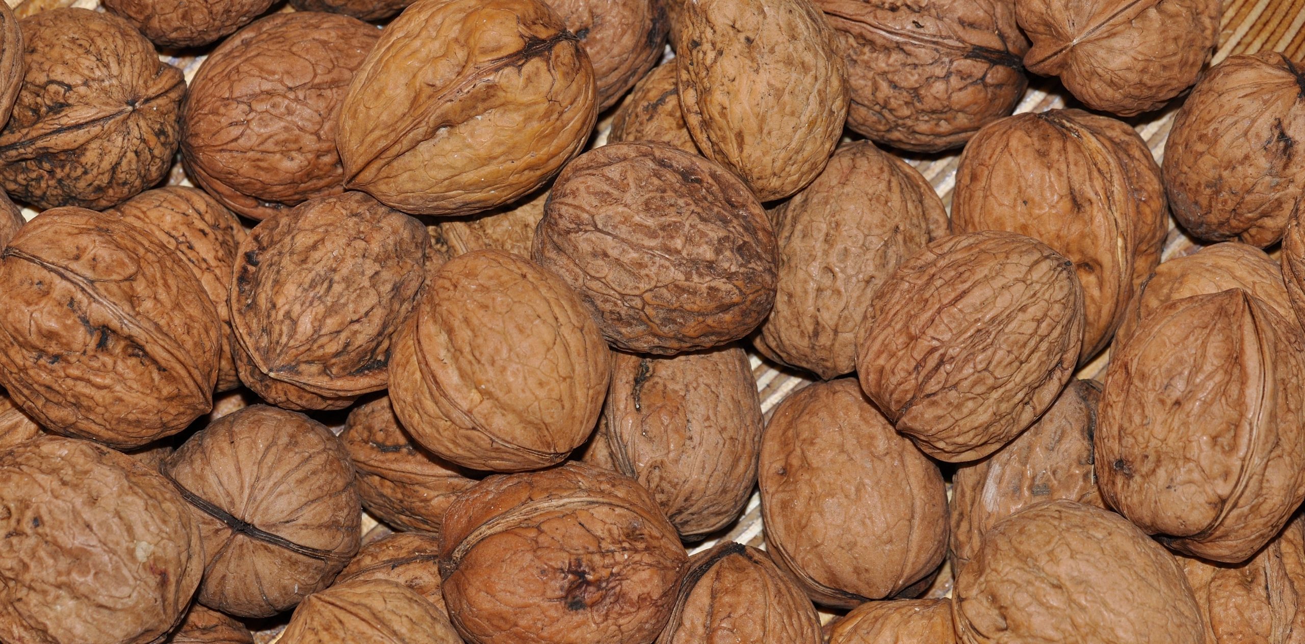 خرید گردو درجه یک