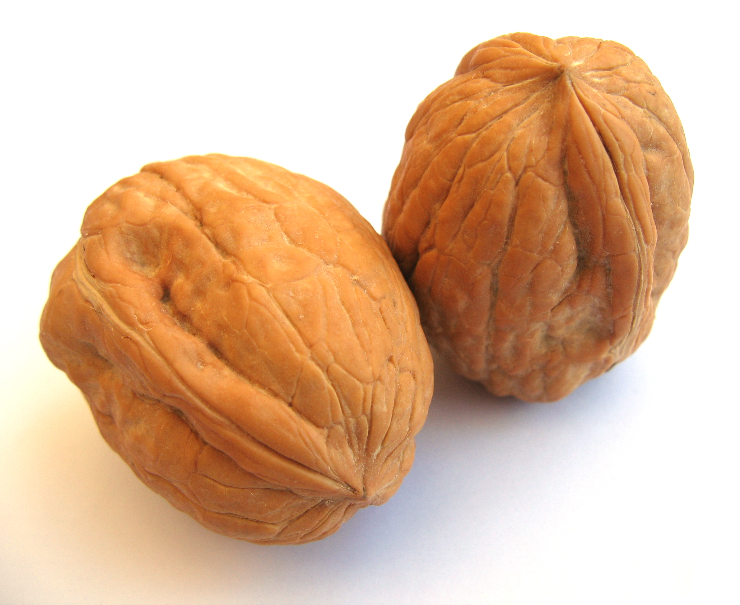 پخش کننده گردو