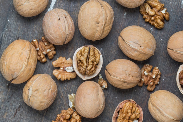 فروش گردو خشک مرغوب