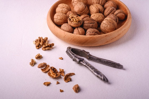 فروش گردو سوزنی