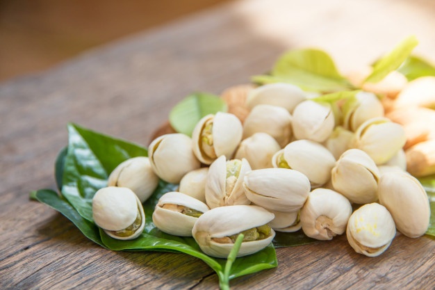 خرید پسته تازه