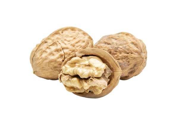 فروش گردو ماکویی