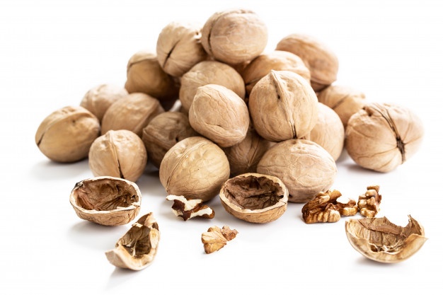 فروش گردو عمده