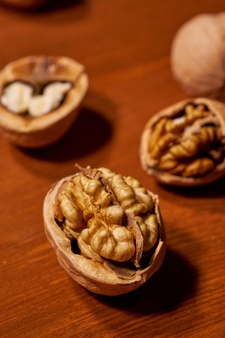 گردوی چهار محال بختیاری