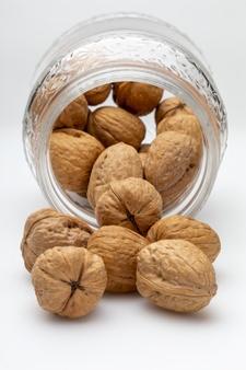 خرید گردو درجه یک با پوست