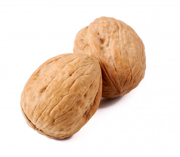 خرید گردو کاغذی