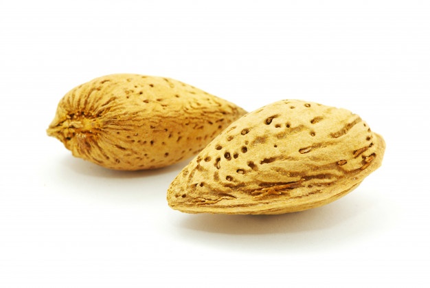 فروش بادام سنگی عمده