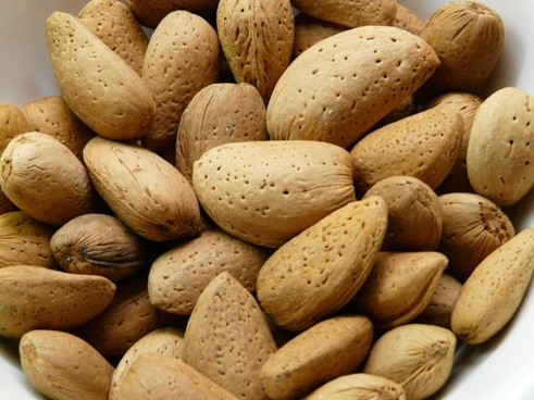 مرکز خرید و فروش بادام