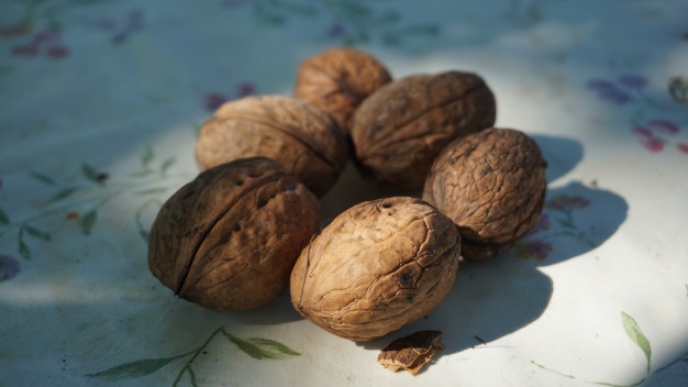 فروش گردوی ملایر