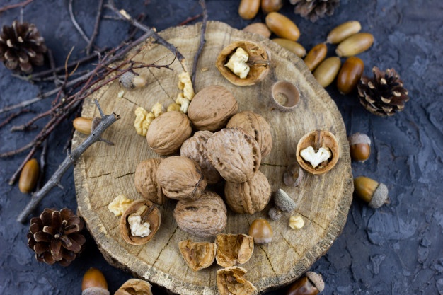 خرید فروش گردو سنگی