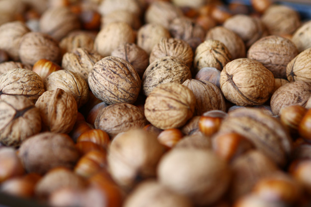 خرید فروش گردوی عمده