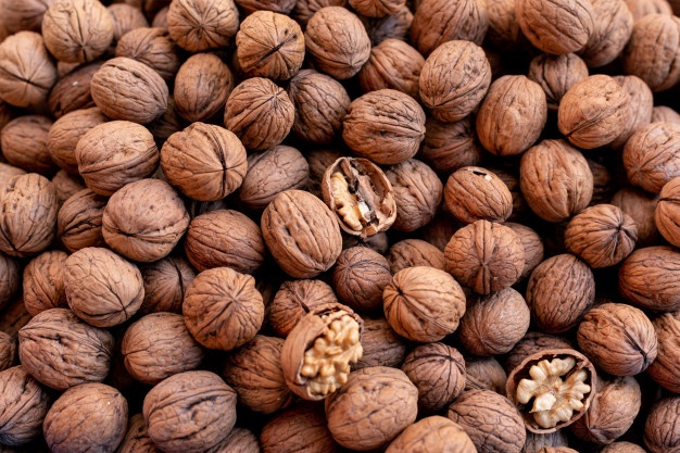 خرید و فروش گردو عمده
