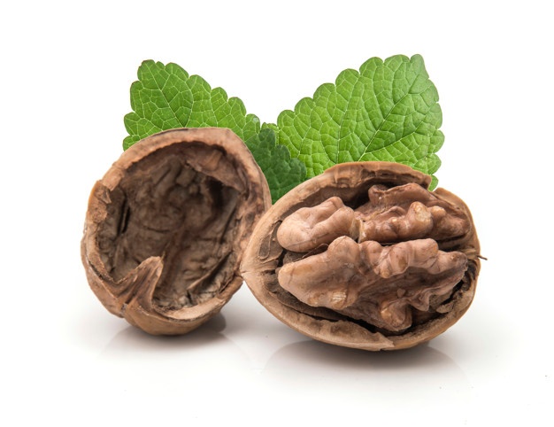 گردوی اعلای تویسرکان