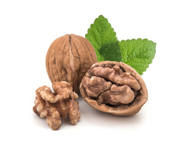 خرید گردو مراغه