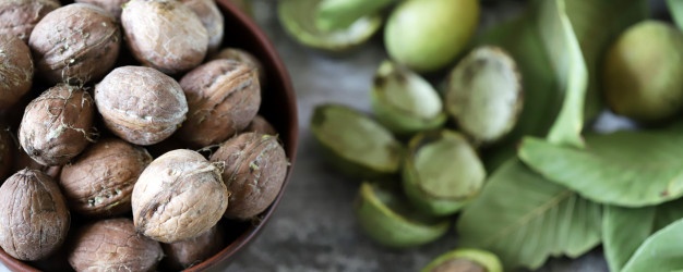 مرکز فروش گردو