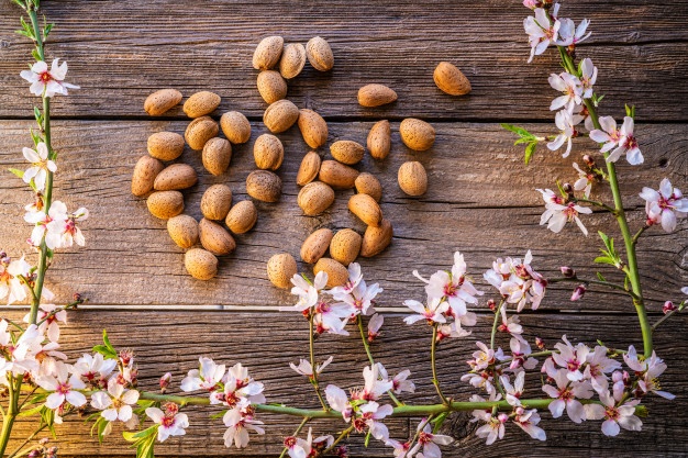 فروش بادام سنگی درجه یک