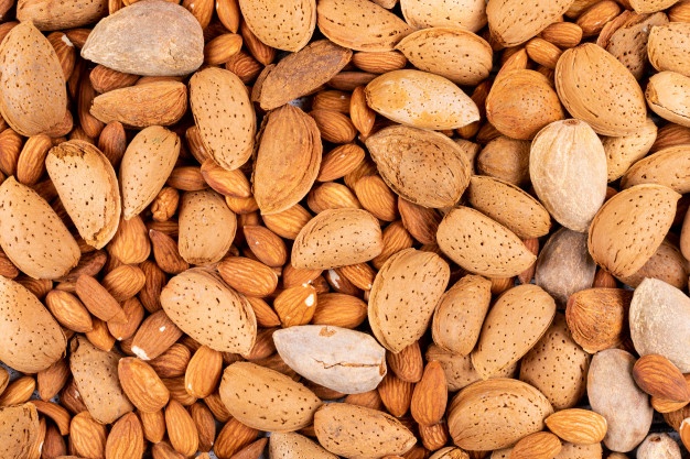 خرید بادام درختی تازه