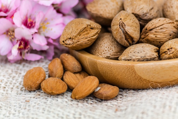 خرید بادام سنگی درختی