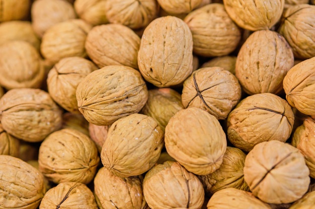 خرید فروش گردو شیلی