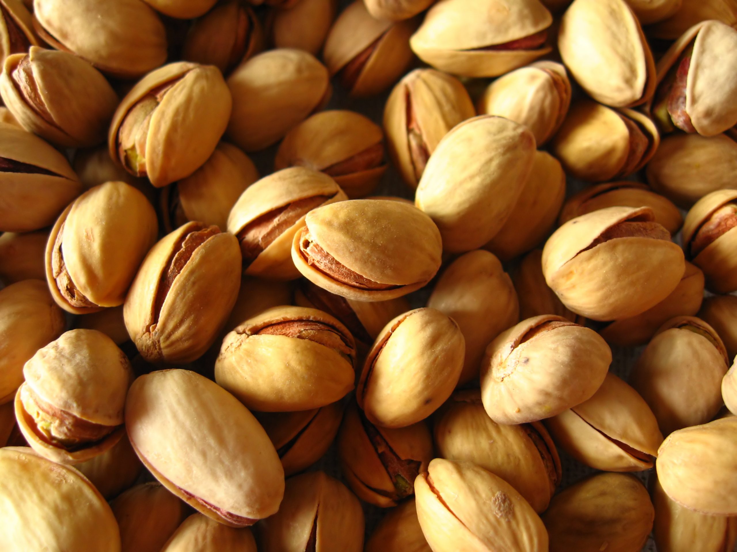 پسته کله قوچی دامغان