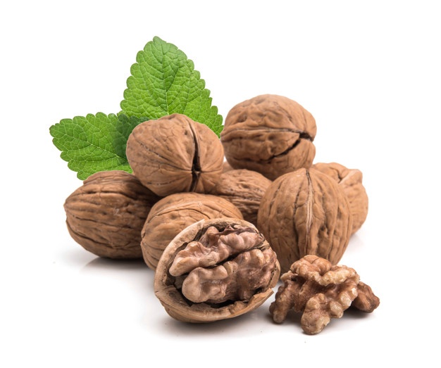 خرید و فروش گردوی عمده