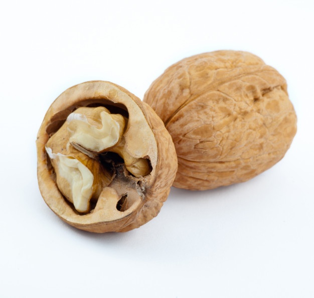 فروش گردو سنگی و کاغذی