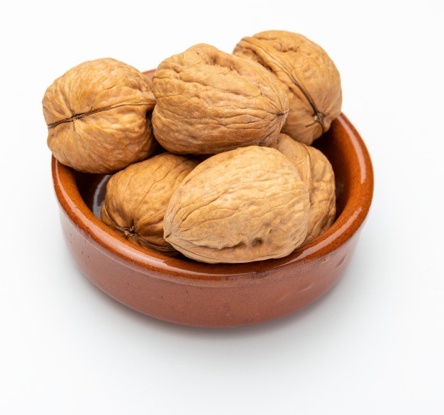 گردو کاغذی شیلی