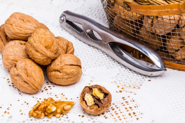 قیمت گردو عمده