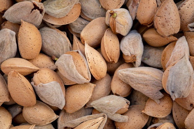 بادام درجه یک سنگی