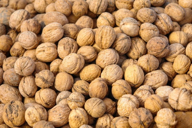 فروشنده گردو