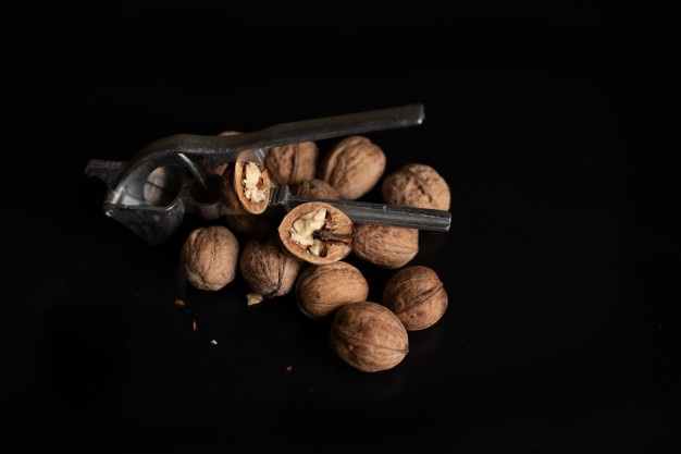 تامین کننده گردو سوزنی