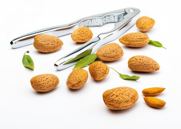 بادام سنگی درجه یک عمده